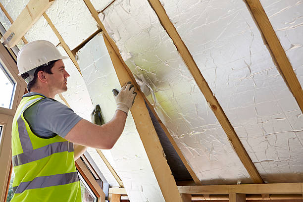 Best Professional Insulation Contractor  in Collinsville, CT